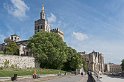 Le palais des Papes (6)