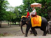 DSC 1588  Ballade à dos d'éléphant : Thailande Ayutthaya ville