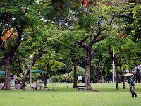 DSC 0962  Un jardinier en charge de l'entretien