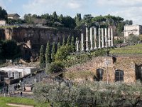 Le temple de Vénus et de Rome