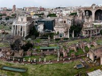 Le forum Romain
