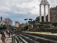 Colonnes du temple des Dioscures