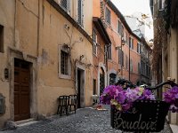 Rue dans le quartier du château des Anges