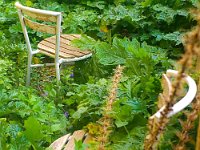 La biodiversité sur le pas de sa porte