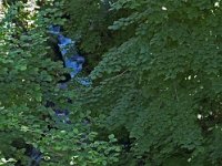 On distingue parfois entre les arbres des cascades impressionnantes