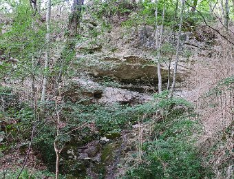Vue générale du site  La grotte se situe à environ 20m du chemin