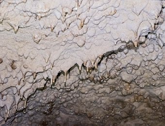 Stalagtites  Les quelques stalagtites que l'on peut voir  sont de très petite taille