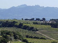 Les dentelles vues de Chateauneuf du Pape : Dentelles de montmirail