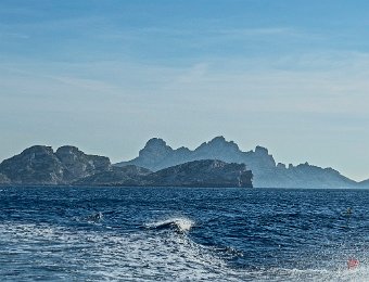 Ile de Jaron et ile de Riou  L'ile de Riou est la propriété du Conservatoire National du Littoral. Elle culmine à 212m. Elle a été fréquentée durant l'antiquité par des pêcheurs ligures et étrusques