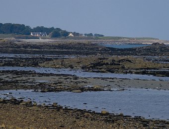Roscoff- Au fond l'île de Batz