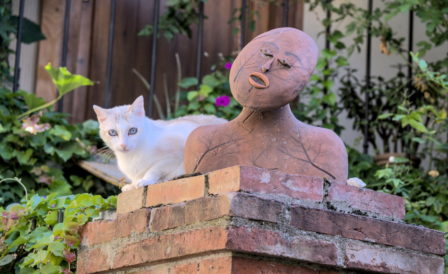 En revenant du château