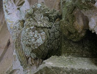 Eglise Saint Pierre de Sales- Sculpture sur le clocher