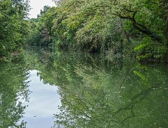 Paysage sur la Baïse