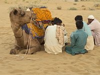 Dromadaire de transport de touriste près de Jaisalmer