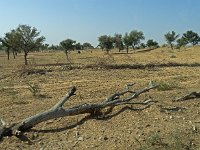 Désert du Thar  Le désert du Thar s'étend au Rajasthan, à l’extrême nord-ouest de l’Inde dont il couvre environ 200 000 km2 de la surface. Il  a la particularité d'être assez densément peuplé par rapport aux autres déserts, notamment avec deux grandes villes qui s'y sont développées, Bikaner et Jaisalmer. Il est recouvert de sable et de rocailles parsemés d'arbustes. Il reçoit moins de 200 mm d’eau par an.