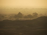 Désert du Thar au petit matin