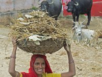Femme chargée sur la route vers Agra