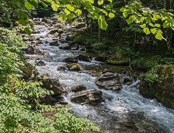 Oriège (Orlu - Ariège)  Fuji XT3 - F5.6 - 1/480 - 31mm - 160 ISO : Oriège, torrent, ariège