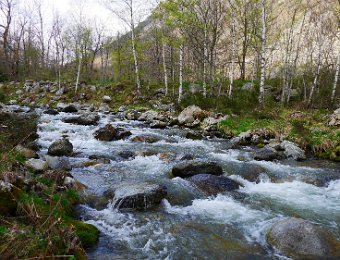 Ariège (L'Hospitalet - Ariège)  Panasonic GM5 - F6.3 - 1/200 - 34mm - 200 ISO : Ariège, torrent, ariège