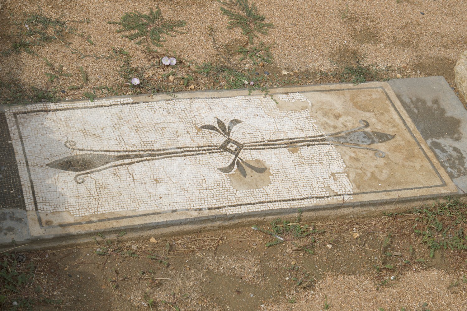 Détail d'une mosaïque