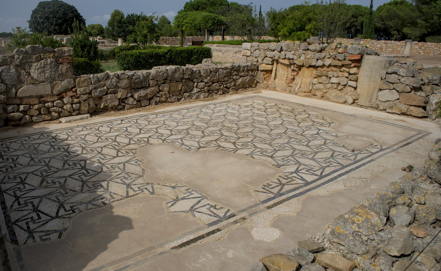 Domus 1- Mosaïques