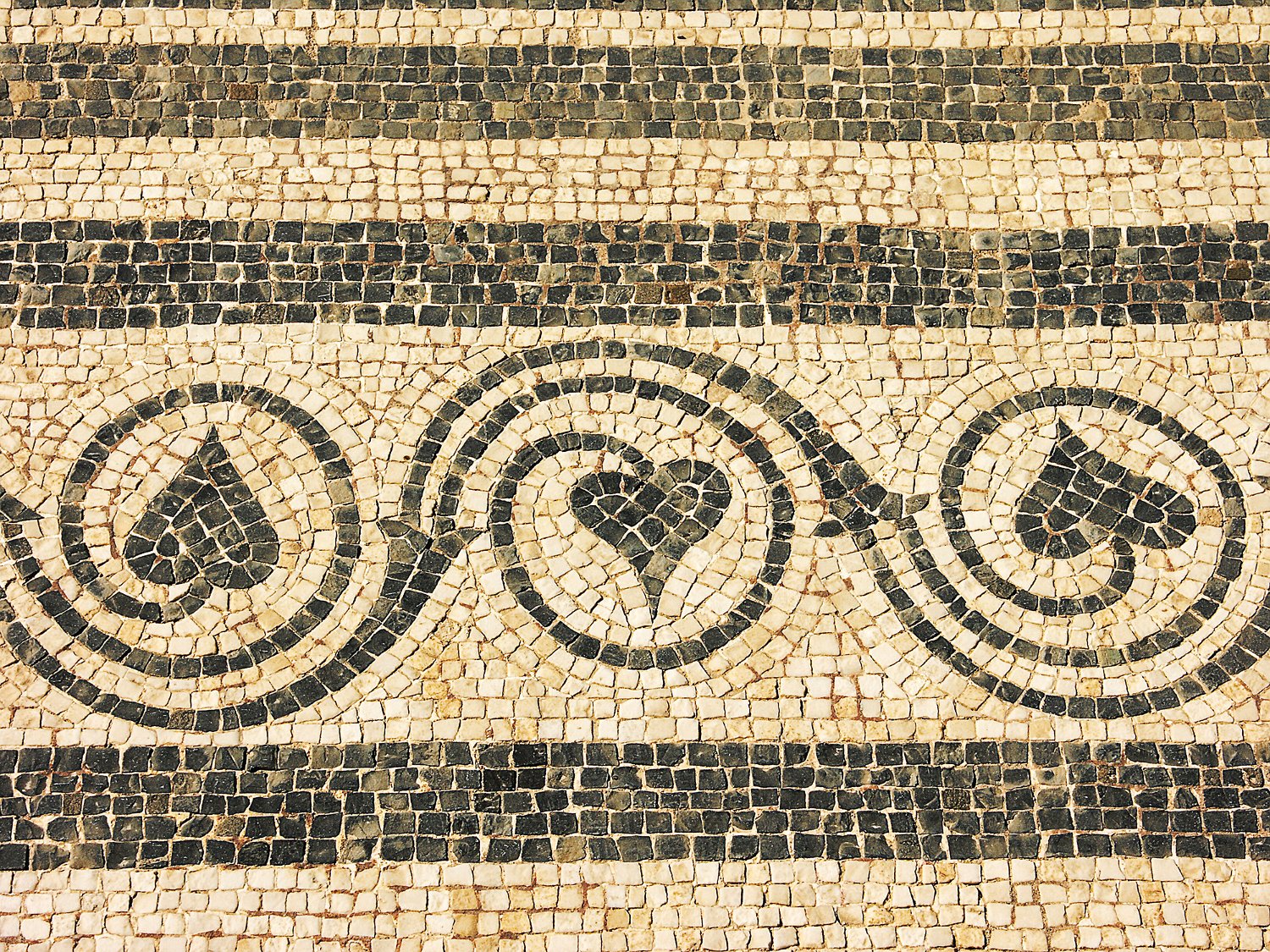 Domus 1 - Mosaïque (détail)