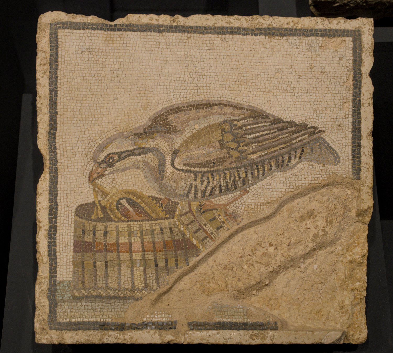 Mosaïque de la perdrix