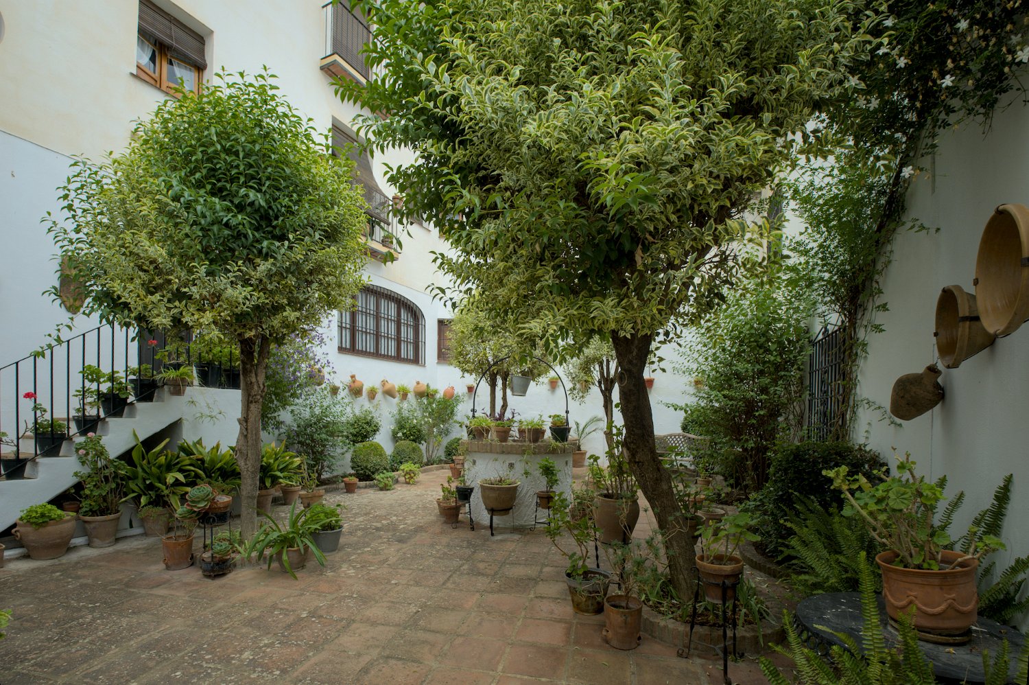 Patio dans une maison particulière