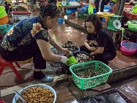Produits de la mer  au marché de Cat Ba (coquillages et huitres)