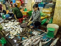 Produits de la mer  au marché de Cat Ba (poissons)