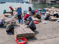 Lavage, tri et étalement des poissons sur des claies