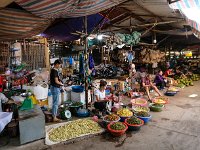 Vue d'ensemble - Insectes comestibles divers