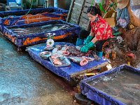 Poissons d'eau douce