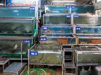 Produits aquatiques divers